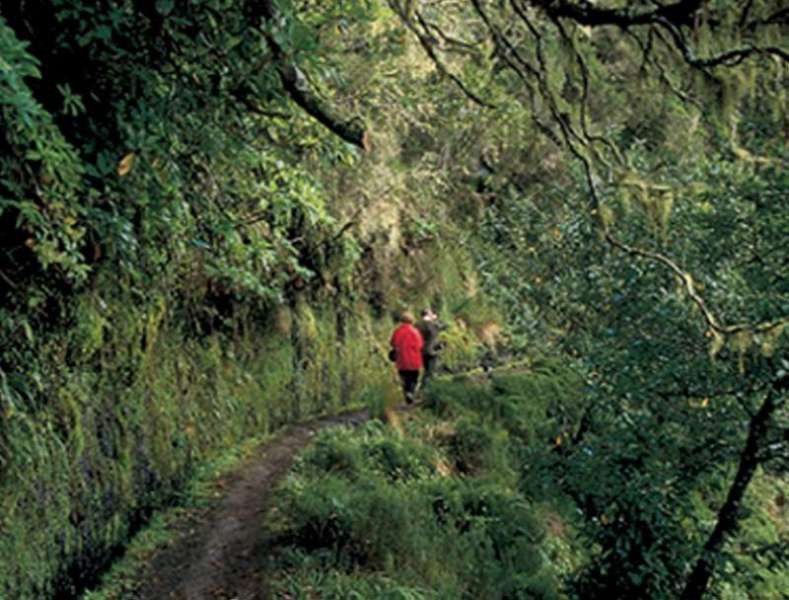 Dorisol Pousada Dos Vinhaticos Serra de Água Esterno foto